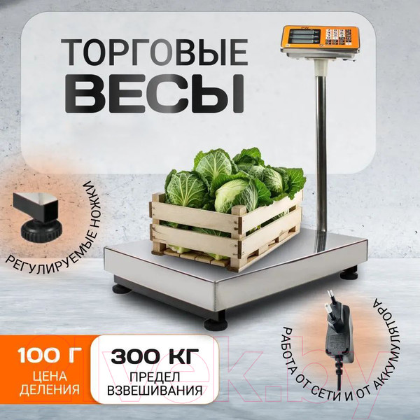 Изображение товара Весы платформенные Shtapler PW 300 40x50 / 71057097