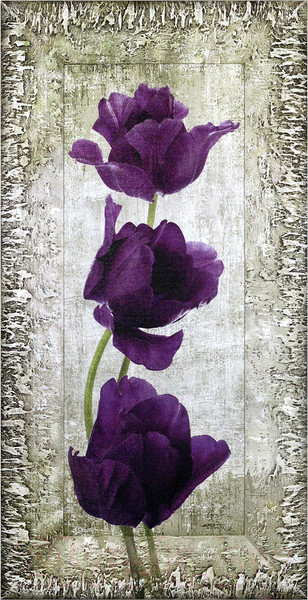 Изображение товара Картина Декарт Фиолетовые тюльпаны-2 8Л0009 (в раме)