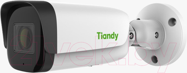 Изображение товара IP-камера Tiandy TC-C35US I8/A/E/Y/M/C/H/2.7-13.5mm