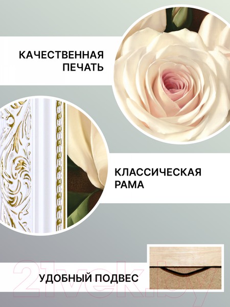 Изображение товара Картина Декарт Нежные бело-розовые розы 8Л2373 (в раме)