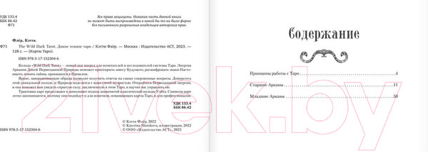 Изображение товара Книга АСТ The Wild Dark Tarot. Дикое темное таро (Флёр К.)