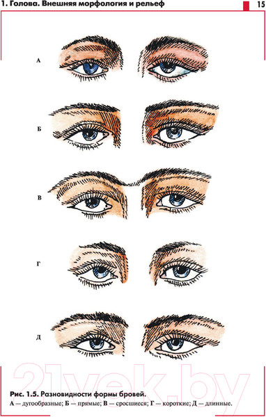 Изображение товара Книга АСТ Анатомия Головы с нейроанатомией (Самусев Р.П.)