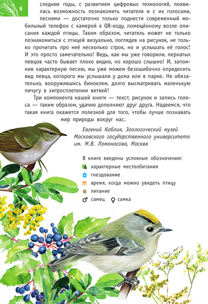 Изображение товара Энциклопедия АСТ Певчие птицы. Определитель с голосами птиц (Архипов Владимир, Коблик Евгений)