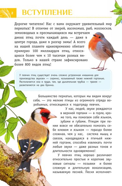 Изображение товара Энциклопедия АСТ Певчие птицы. Определитель с голосами птиц (Архипов Владимир, Коблик Евгений)