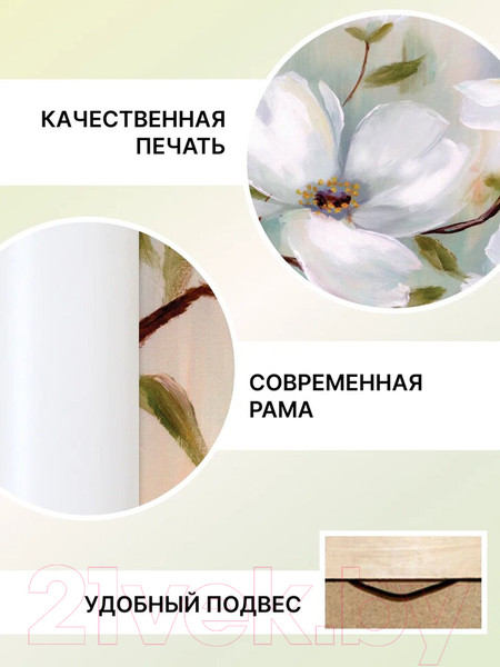 Изображение товара Картина Декарт Абстракиця ветвь белых цветов-2 8Л3005 (в раме)