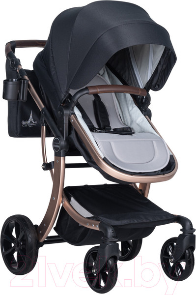 Изображение товара Детская универсальная коляска Aimile Original New Gold / NDG-5 (черное золото)