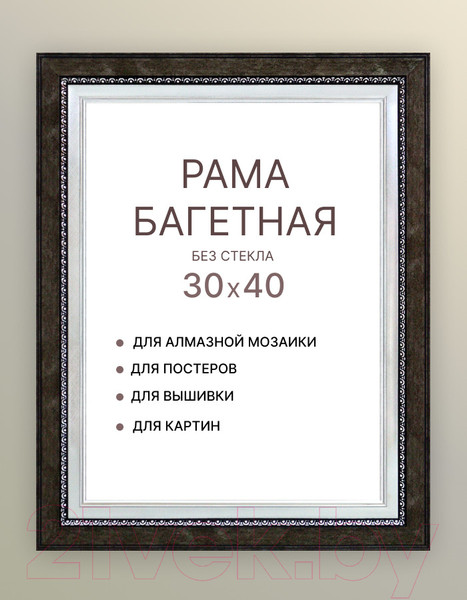Изображение товара Рамка Декарт 30x40 8Л2573 (черный с серебром)