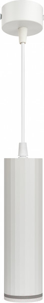 Изображение товара Потолочный светильник ЭРА PL19 WH / Б0058491