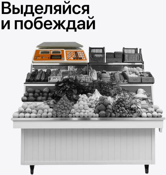 Изображение товара Весы торговые Shtapler TW 40 / 71057094