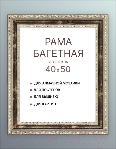 Изображение товара Рамка Декарт 40x50 8Л2873 (бежевый с золотом)