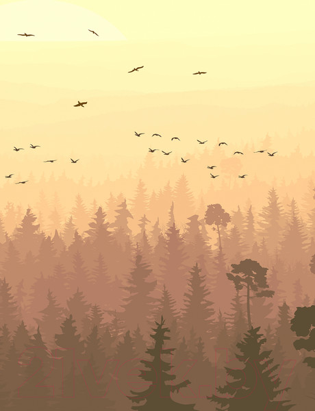 Изображение товара Фотообои листовые Vimala Теплый лес (270x200)