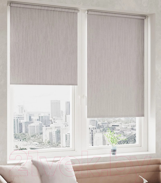 Изображение товара Рулонная штора LEGRAND Сидней 61.5x175 / 58103840 (муссон)