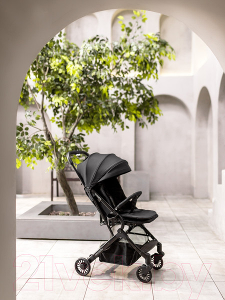 Изображение товара Детская прогулочная коляска Amarobaby Voyager / AB22-10VOYAGER/09 (черный)