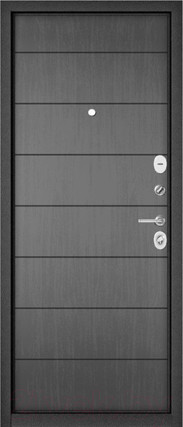 Изображение товара Входная дверь Mastino Family Eco PP-11 (96x205, правая)