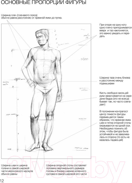 Изображение товара Нехудожественная книга АСТ База академического рисунка (Рыжкин А.)