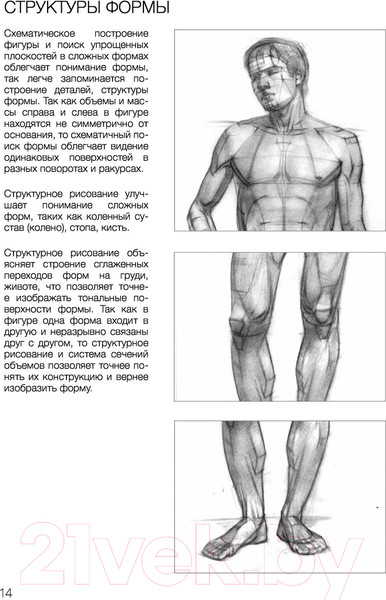 Изображение товара Нехудожественная книга АСТ База академического рисунка (Рыжкин А.)