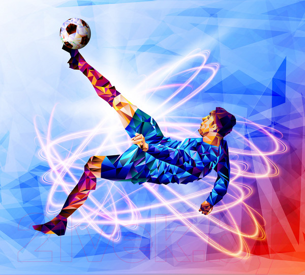 Изображение товара Фотообои листовые Vimala Футболист 2 (270x300)