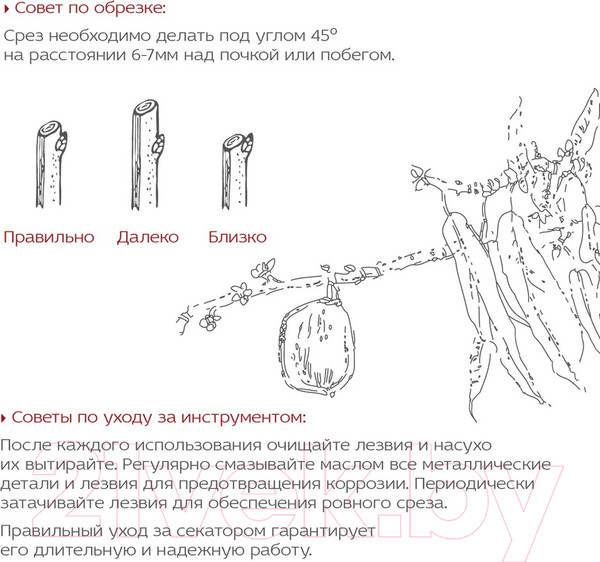 Изображение товара Секатор механический Frut Club 402218