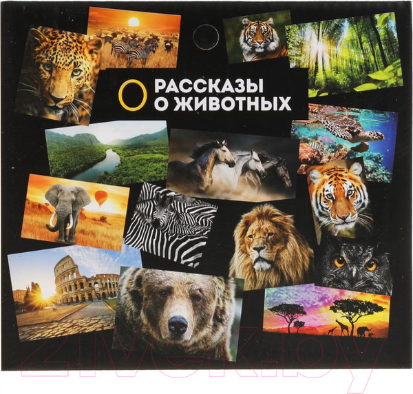 Изображение товара Фигурка игровая Играем вместе Динозавр Спинозавр / 2004Z296 R1