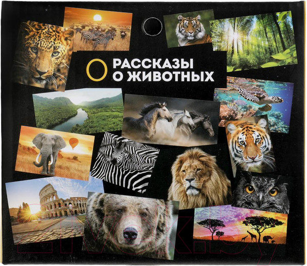 Изображение товара Фигурка игровая Играем вместе Динозавр Цератозавр / 2004Z297 R2