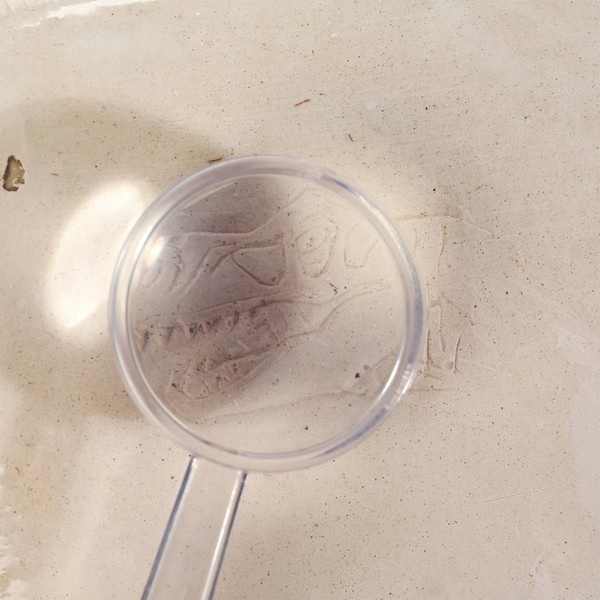 Изображение товара Развивающая игра Играем вместе Раскопки Динозавр Тиранозавр / FL6033384-R