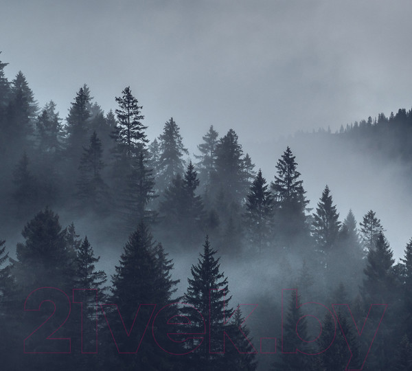 Изображение товара Фотообои листовые Vimala Серый лес (270x300)