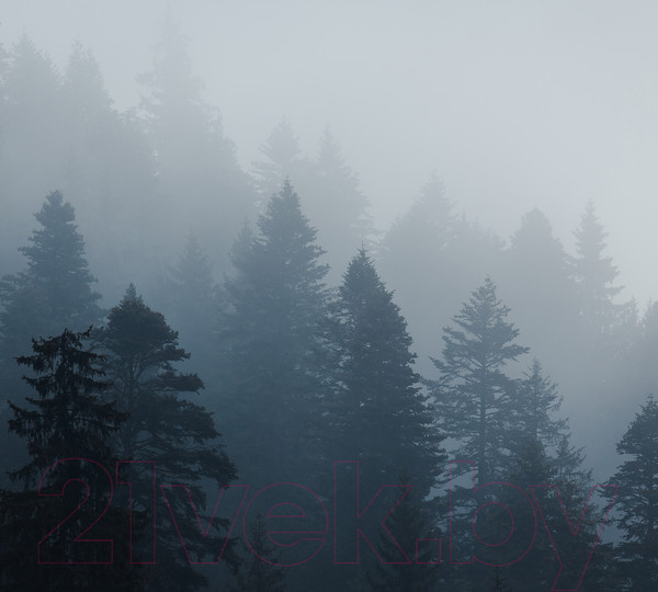 Изображение товара Фотообои листовые Vimala Серый лес 2 (270x300)