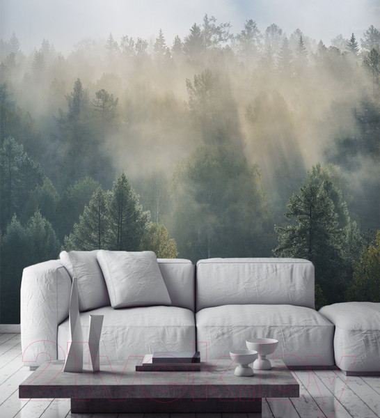 Изображение товара Фотообои листовые Vimala Солнечный лес (270x300)