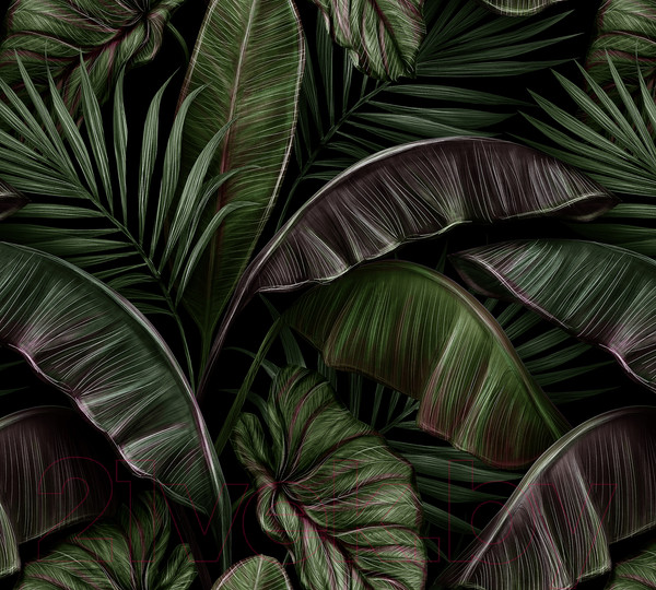 Изображение товара Фотообои листовые Vimala Густые листья 3 (270x300)