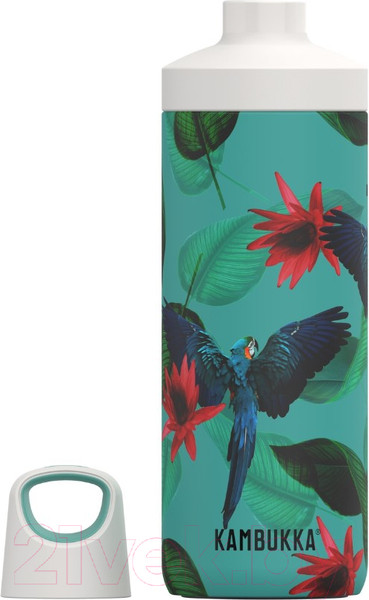 Изображение товара Бутылка для воды Kambukka Reno Insulated Parrots / 11-05004
