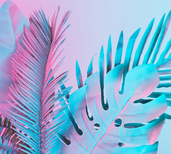 Изображение товара Фотообои листовые Vimala Неоновые листья (270x300)