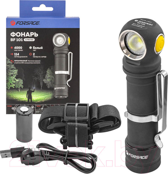 Изображение товара Фонарь Forsage F-BF101(54145)