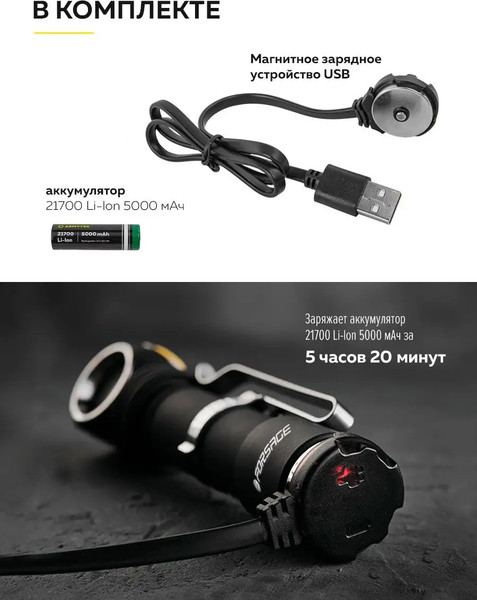 Изображение товара Фонарь Forsage F-BF101(54145)