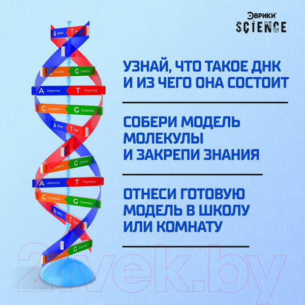 Изображение товара Набор для опытов Эврики Молекула ДНК / 9176778