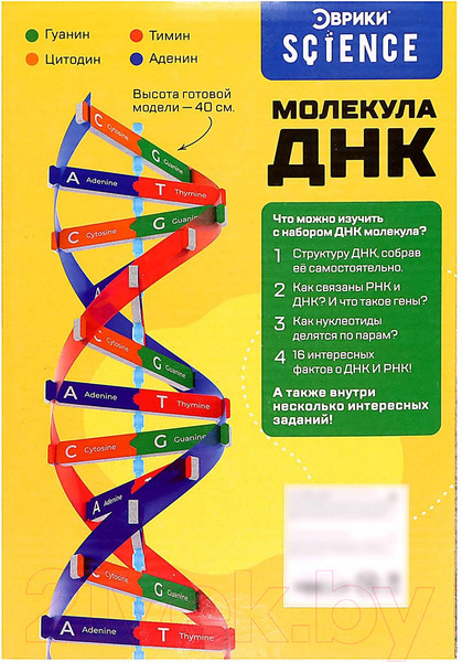 Изображение товара Набор для опытов Эврики Молекула ДНК / 9176778
