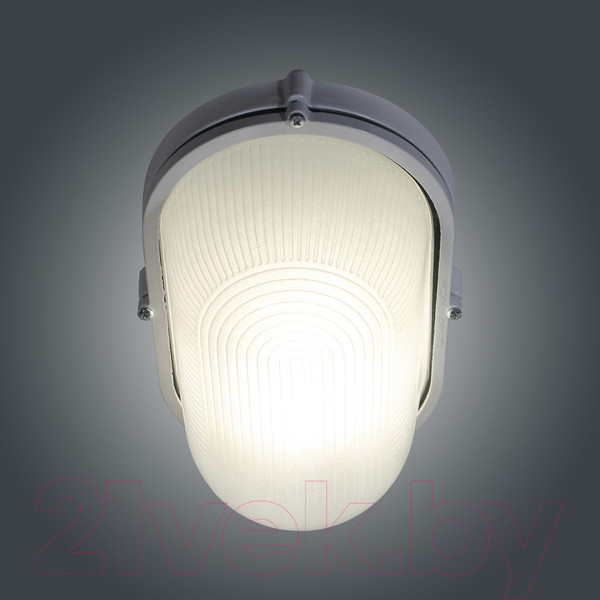 Изображение товара Светильник ЖКХ Элетех Банник 1201 НПП 03-100-017 IP65 / 1005501074 (белый)