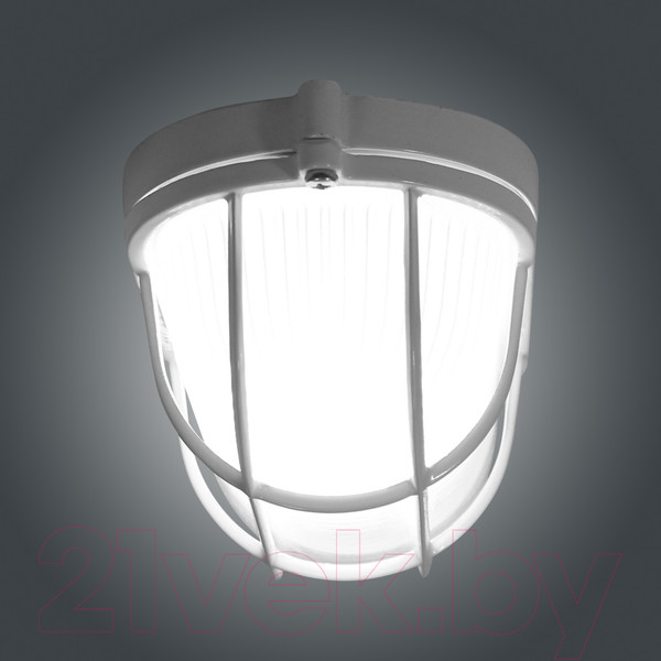 Изображение товара Светильник ЖКХ Элетех Банник 1402 НПП 03-60-022 IP65 / 1005501079 (белый)