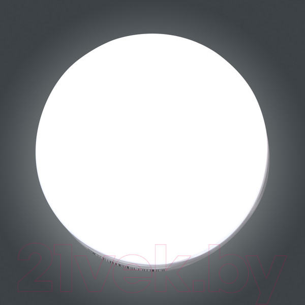 Изображение товара Светильник ЖКХ Элетех Блиц 03-007-401 / 1030480542