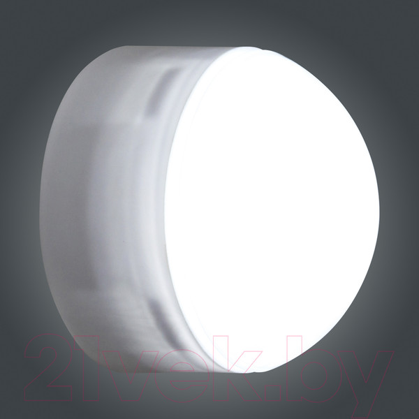 Изображение товара Светильник ЖКХ Элетех Блиц 03-007-401 / 1030480542