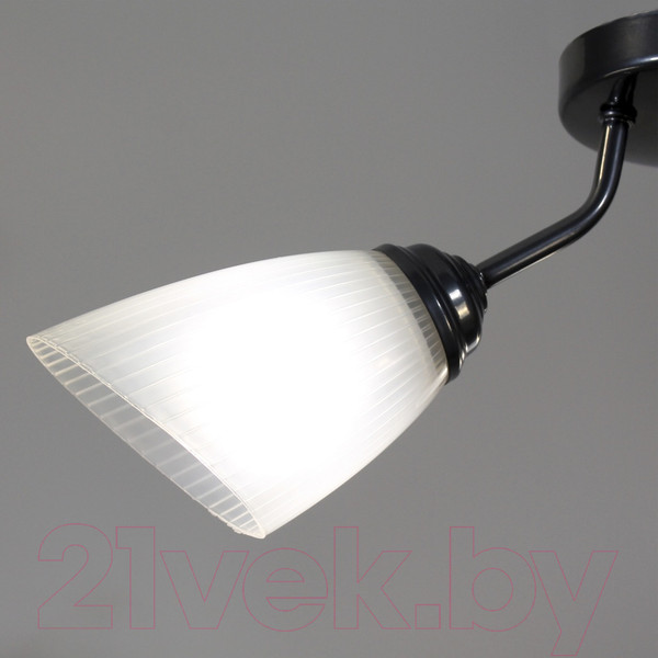 Изображение товара Люстра Элетех Бона 131 НПБ 01-3х60-185 Е27 / 1005404415