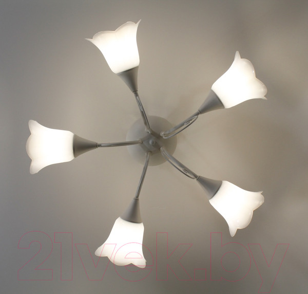 Изображение товара Люстра Элетех Веста 151 НПБ 01-5х60-119 Е27 / 1005404988 (белый)