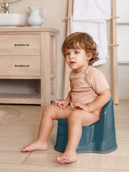 Изображение товара Детский горшок Amarobaby Ergonomic с крышкой / AB221103Er/18 (бирюзовый)