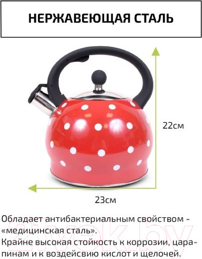 Изображение товара Чайник со свистком TimA WTK241C