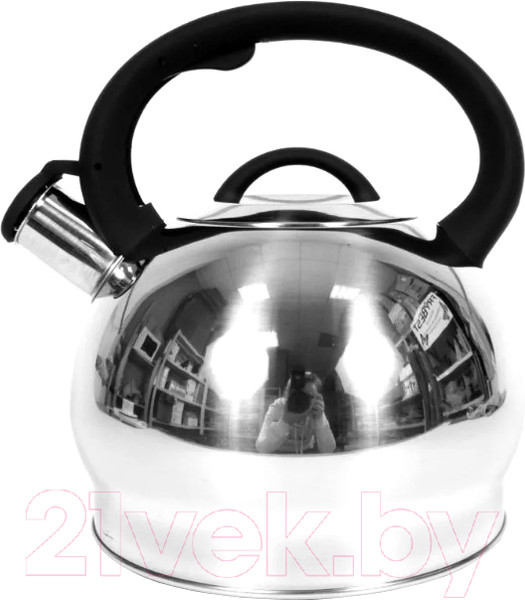 Изображение товара Чайник со свистком TimA WTK250