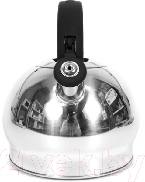 Изображение товара Чайник со свистком TimA WTK250