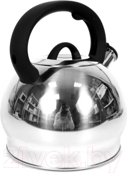 Изображение товара Чайник со свистком TimA WTK250