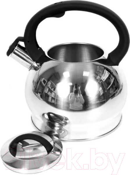 Изображение товара Чайник со свистком TimA WTK250