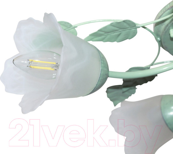 Изображение товара Люстра Элетех Глория 151 НПБ 01-5х60-102 Е14 / 1005403199 (зеленый/серебристый)