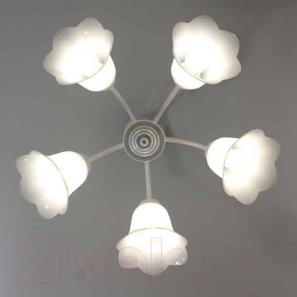 Изображение товара Люстра Элетех Джина 251 НСБ 01-5х60-130 Е27 / 1005404996 (белый)