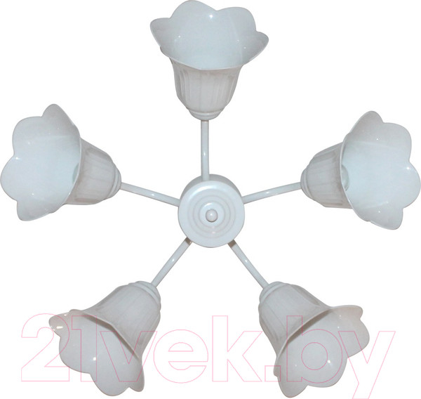 Изображение товара Люстра Элетех Джина 251 НСБ 01-5х60-130 Е27 / 1005404996 (белый)